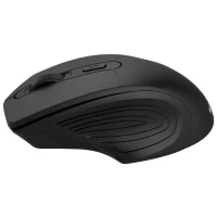 Мышь Canyon MW-15 (черный) фото 1